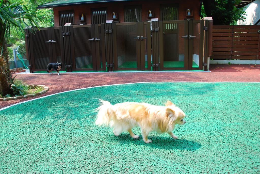 Hotel Okumizuma Onsen Kaizuka Zewnętrze zdjęcie